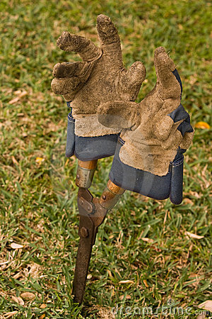 Gardening Gloves